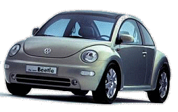 Beetle